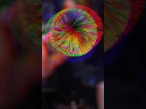 Trippy 3d asmr
