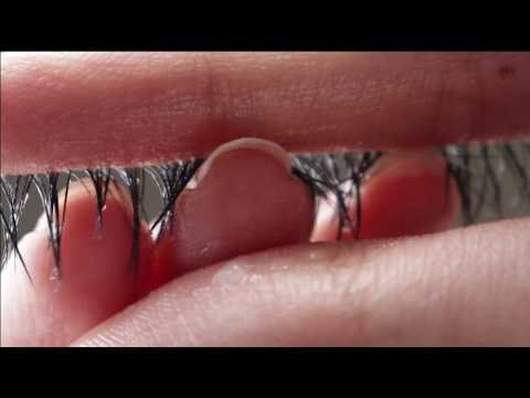 Eye Cleaning Best Moment (1 Hour ASMR) ASMR