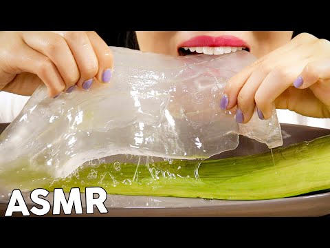 ASMR WHOLE ALOE VERA CHALLENGE 통알로에 챌린지 먹방 Eating Sounds Mukbang