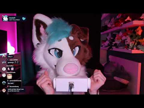 Dog touches your ears (respectfully)
