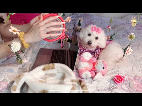ASMR For Deep Sleep 💤 | Supermarket Roleplay very tingly... Goodnight~ 🌙