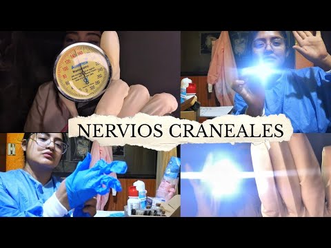ASMR ☆ EXÁMEN DE NERVIOS CRANEALES con @PaulyAsmr 💗
