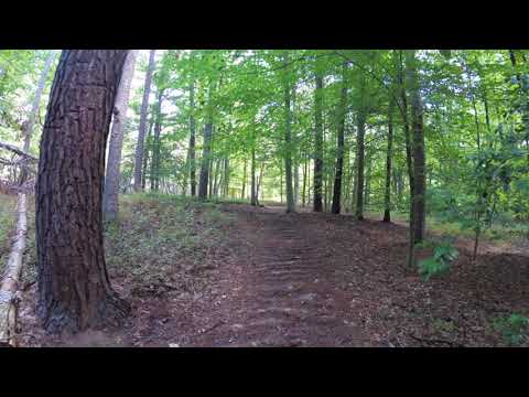 ASMR Hiking Binaural Crunchy Leaves Late Summer Hike