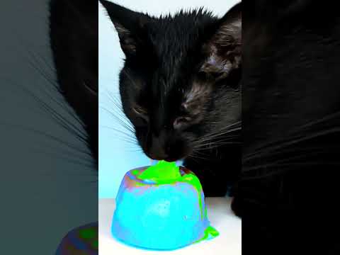 ASMR Mukbang Cat Eating Green & Cyan 💚💙