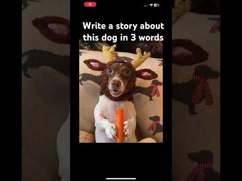 Write a story about this dog in three words  #asmr #puppy #eating #cute #mukbang #funny #shorts ￼