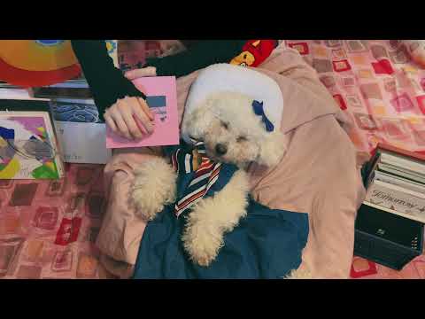 ASMR Record store salesperson | roleplay, tingles, whispering, tapping