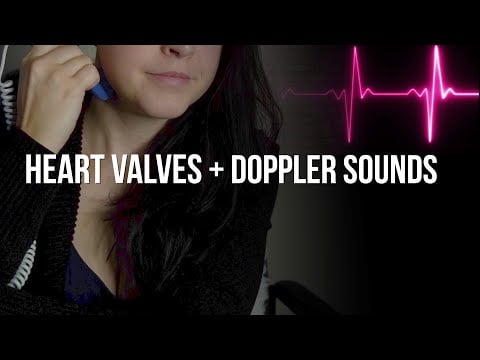 Happy Heartbeats Heart Valve Tour With Doppler | Female Heartbeat ASMR