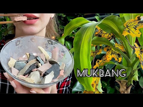 Разноцветные чипсы🍿// Multicolour snacks// MUKBANG// ASMR