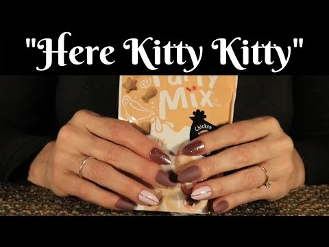 [ASMR] "Here Kitty Kitty"🐱🐱🐱RP Request (Soft Talking/Whispers) GIVEAWAY!