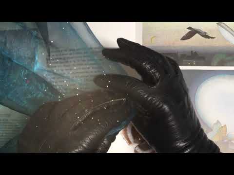 LEATHER GLOVES ✋🤚  WHISPER IN FRYSK 🖤   ROEK  part II  🎧 [ASMR]