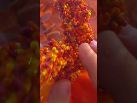 ASMR triggers you might like