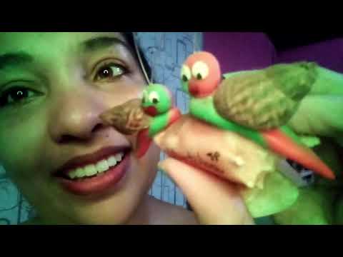 ASMR Tapping na lente, batidinhas com os dedos na lente da câmera e objetos com sons relaxantes