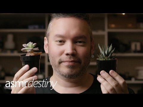 ASMR | Let's Talk Succulent Plants! ✿ (4K60)