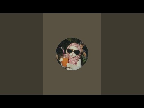 Loree ASMR está en vivo