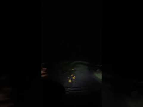 Rainy car ride ASMR sounds