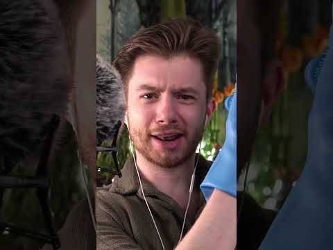 ASMR | These Gloves Sound Like Rain?