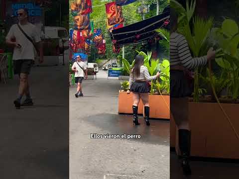 Tú viste al perro? #parati #humor #viral #comedia