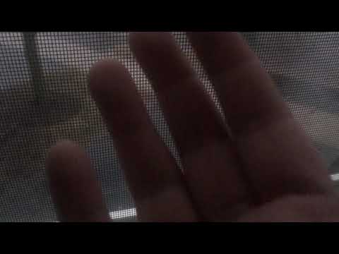 Camera Brushing, Tapping, Scratching ASMR  with Raindrops 💦