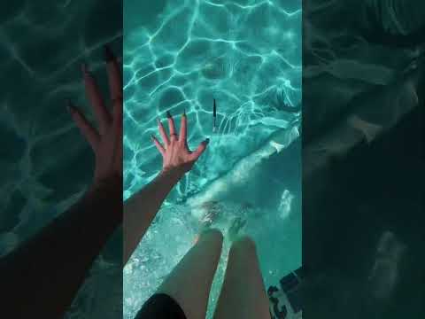 random pool asmr with my friend #asmr #lofiasmr #poolasmr #relaxandplay #asmrgame