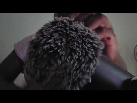 Asmr Fast and Aggressive Triggers| Scalp Check for Lice Plucking, Scratching