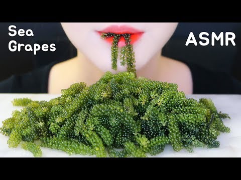 *SLOW* SEA GRAPES ASMR SEAWEED ASMR 바다포도 ASMR 🌊 (NO TALKING)