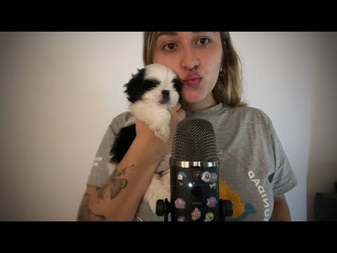 ASMR TE PRESENTO A THEO 🐶 + fast and agressive asmr 