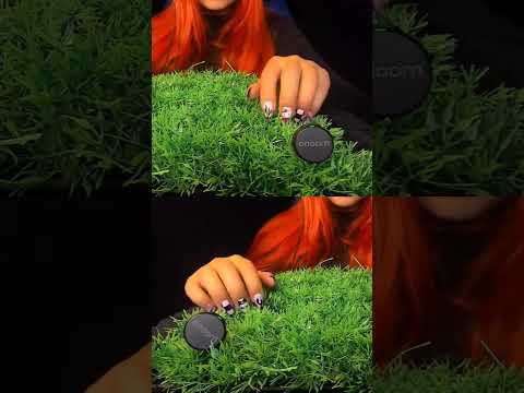 This Sound Is So Satisfying… 😍 | ASMRScratching (No Talking) #tingles #shorts #asmr