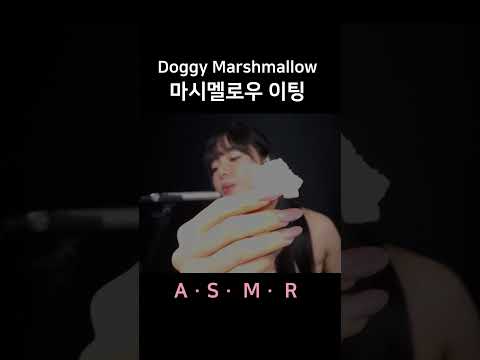 #asmr Doggy Marshmallow Eating Sounds 웰시코기 마시멜로우 이팅사운드