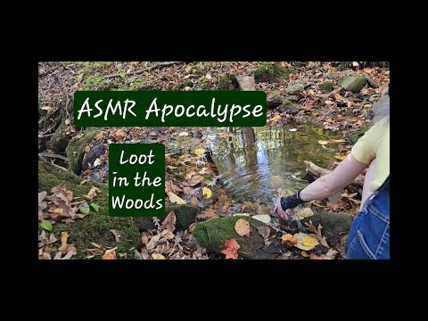 ASMR Apocalypse (Finding Loot In The Woods)