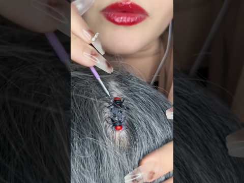 ASMR Bugs Check 💆🏻‍♀️🐜 #asmr #satisfying #visualtingle #relaxing #tingles #asmrscratching