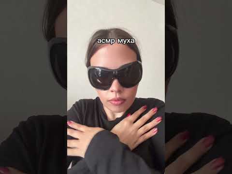 АСМР МУХА 🪰 #asmr #асмр