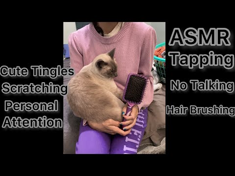 ASMR Hair Brushing No Talking On My Mister ( Tapping Scratching)