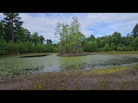 ASMR | Pond Update Part 4 | The Time Capsule (Whisper)