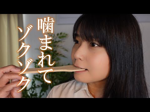 ASMR 噛む音で新たなゾクゾクを見つけてあげるね😎💖