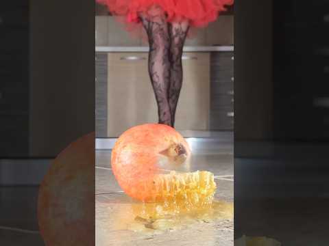 Pomegranate vs. Honeycomb! Oddly Satisfying Heels Crushing Food! ASMR