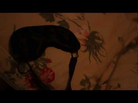 ASMR | Guided Relaxation to a Peaceful Slumber