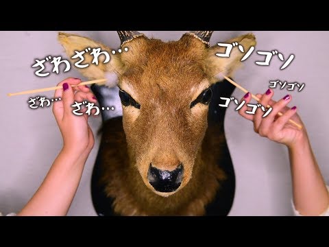 ASMR 双子が鹿さんに耳かきしてみた  - Twins Cleaned The EarsTo Deer【No Talking】