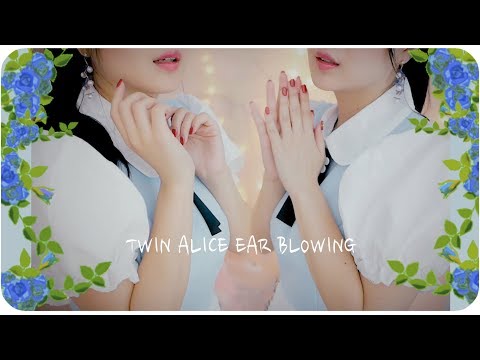 ASMR  쌍둥이  바람불기  twin Alice ear blowing & Breathing  No Talking