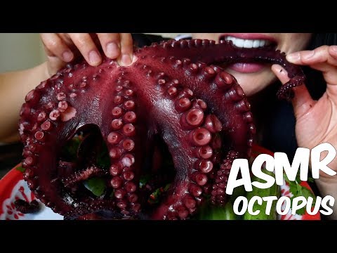 ASMR GIANT OCTOPUS ปลาหมึกยักษ์ (CHEWY EATING SOUNDS) No Talking | SAS-ASMR