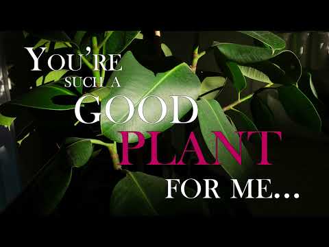 You're such a good Plant for mommy ASMR (F4A) [shitpost audio]