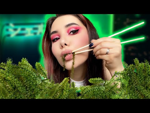 ASMR MUKBANG EATING SEA GRAPES🍇