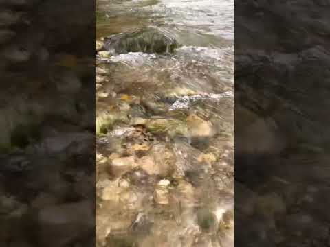 ASMR Soothing Mountain Stream💧#naturesounds #relax