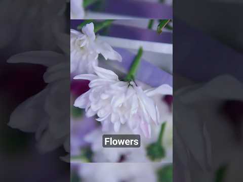 Oddly satisfying / Cutting Flowers #asmr #asmrsounds #asmrvideo