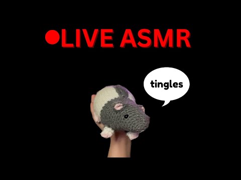 🔴LIVE ASMR - Weird FAST and AGGRESSIVE ASMR Triggers 💨
