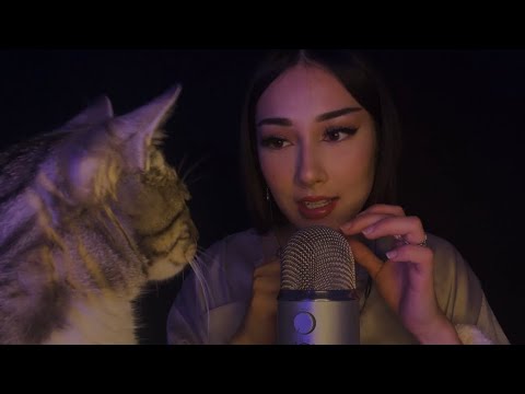 ASMR nail application and nail tapping 💅 with my cat 🐱