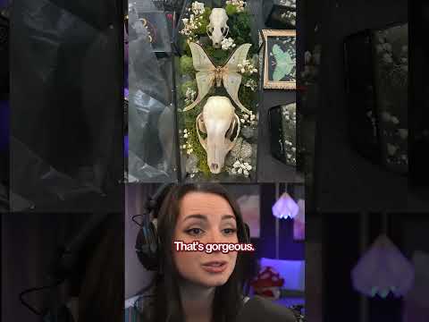 ASMR - My Viewer's Bone Art Collection!