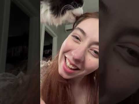 Just Relax ASMR short #asmrshorts #personalattentionasmr #cat