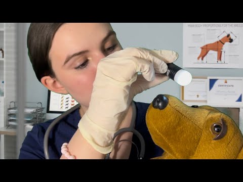 ASMR veterinarian roleplay! 🐶🐾🩺🥼