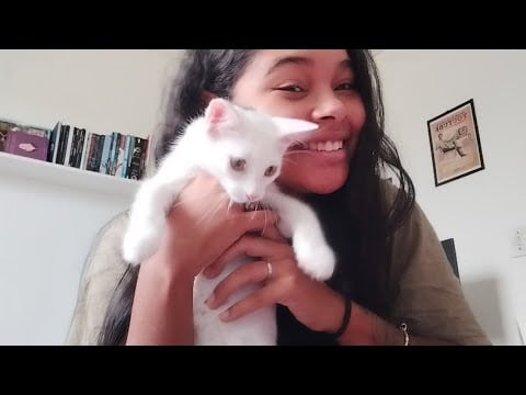 ASMR mostrando meus materiais do trabalho + conversa 