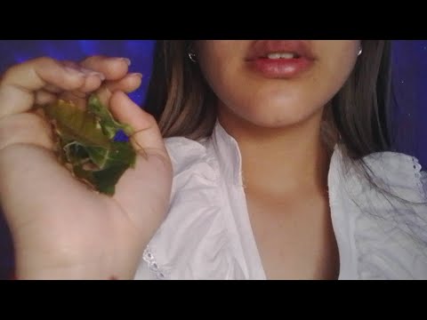 asmr medieval ~ cuidando de você após uma batalha, me Lord. #asmr